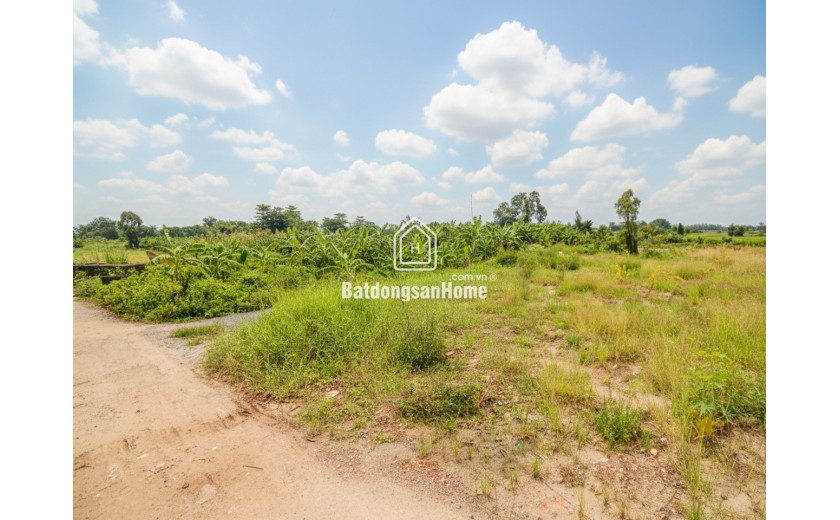 D1751 ⚡️ đất Thạnh Xuân 52 Hóc Môn, SHR, HXT, 26x46m, 5.x tỷ